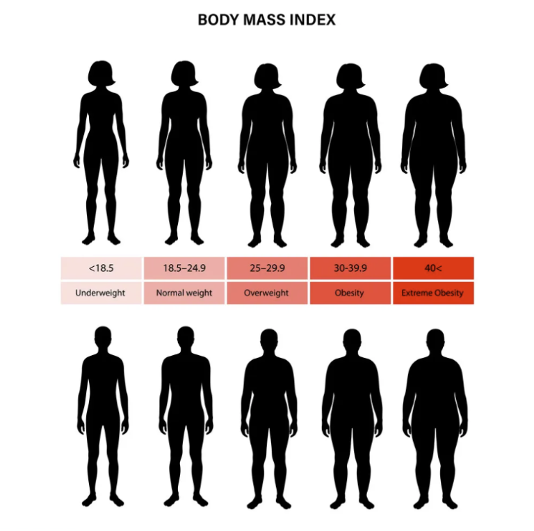 An interactive BMI chart displaying weight categories based on the World Health Organization’s official classifications. Users can calculate their BMI and position a marker on the chart